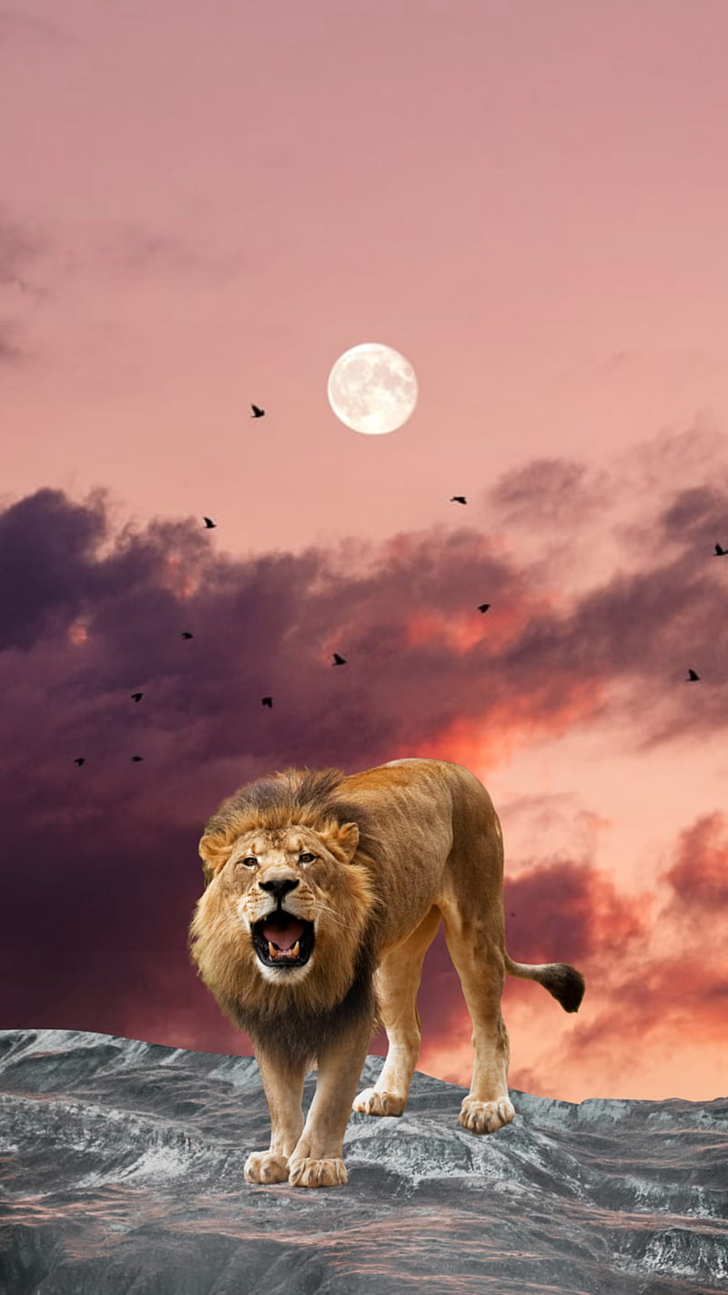 A lion standing on a rocky outcrop with a full moon in the background - Lion