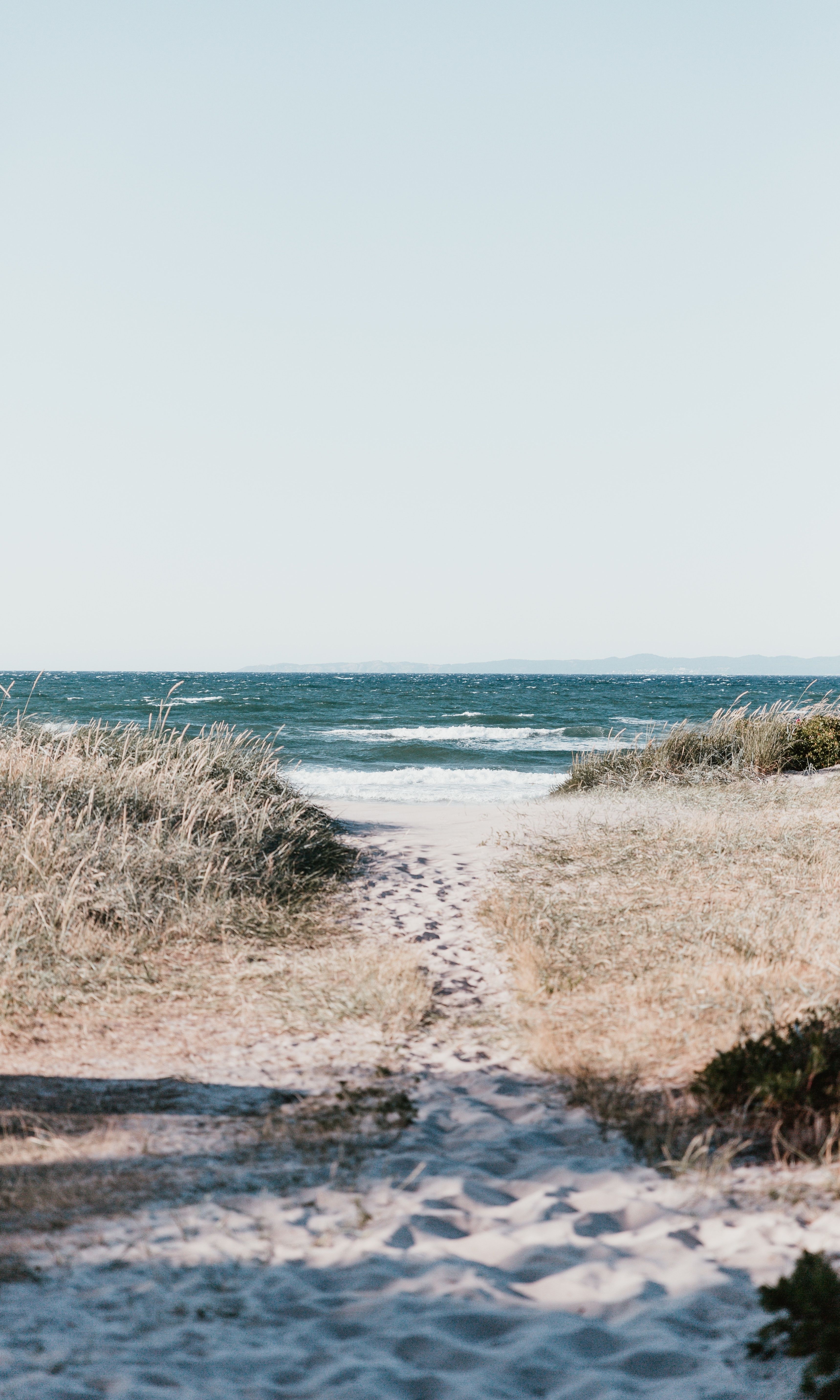 A sandy path leads to the ocean with tall grass on either side. - Calming