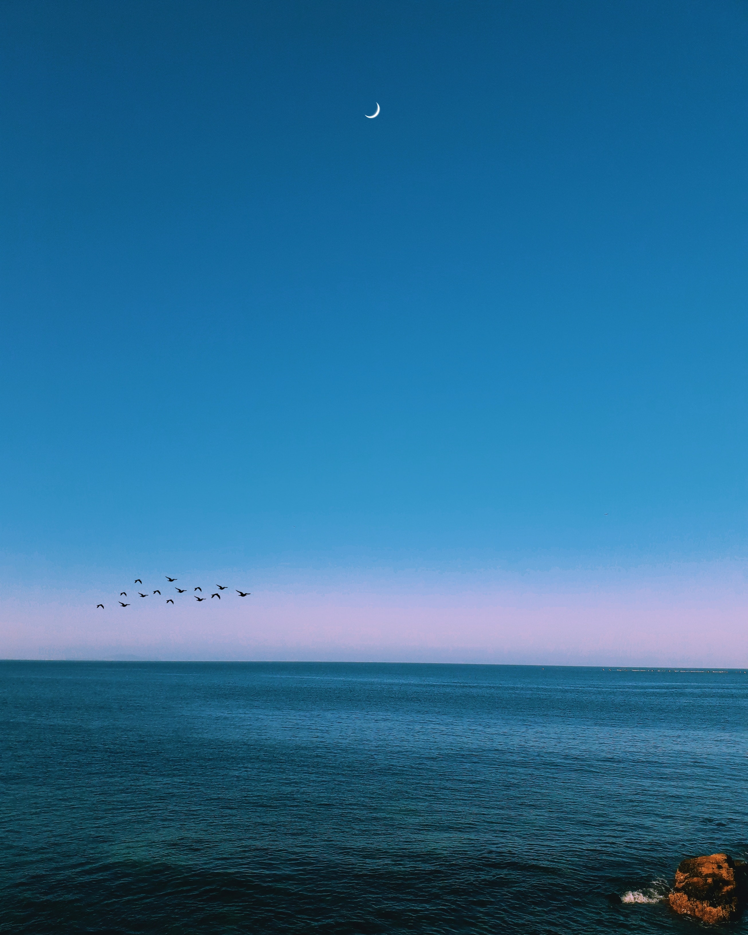 A flock of birds flying over the ocean under a blue sky with a sliver of a moon. - Calming