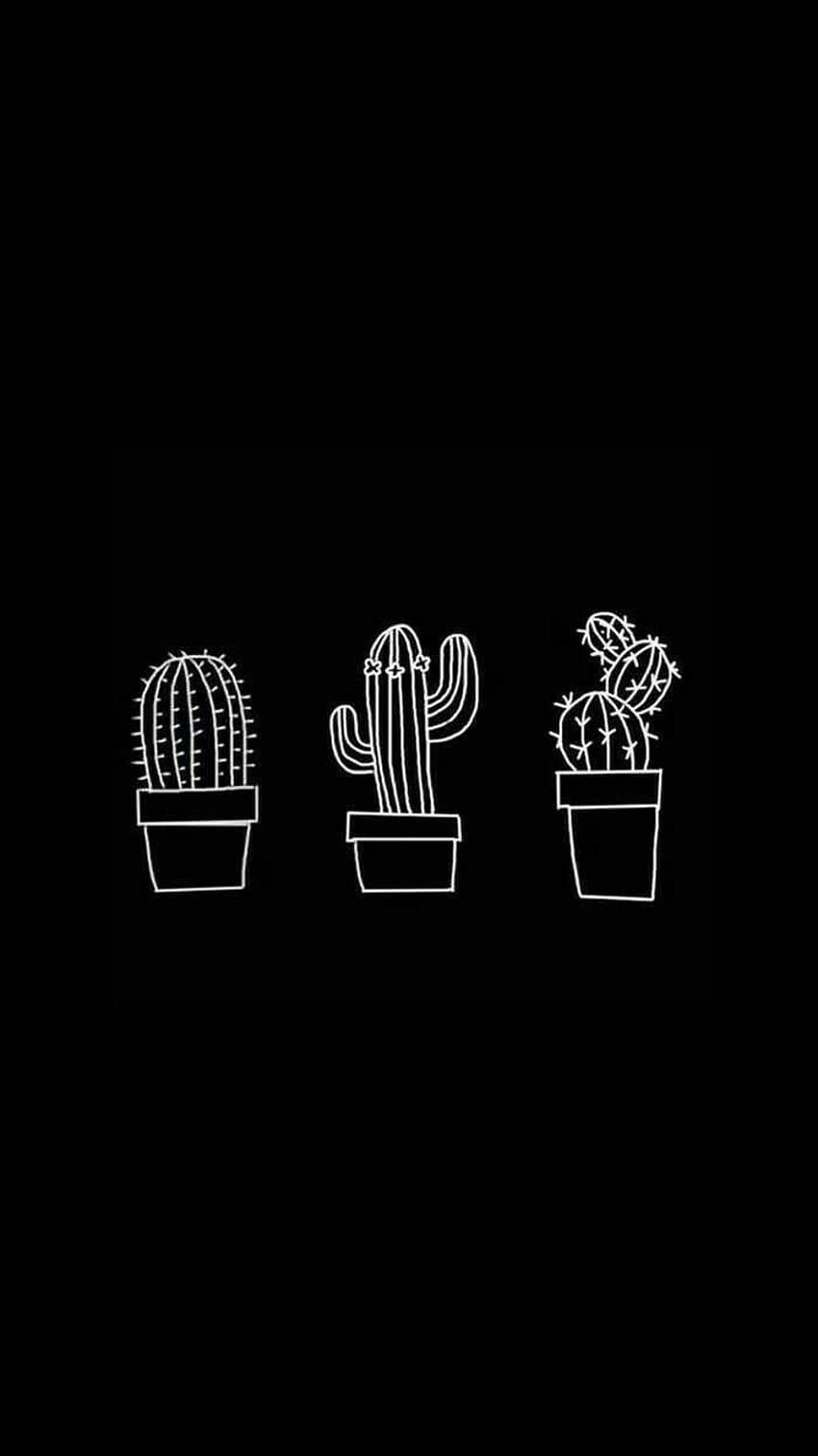 Three cacti on a black background - Cute white, black and white