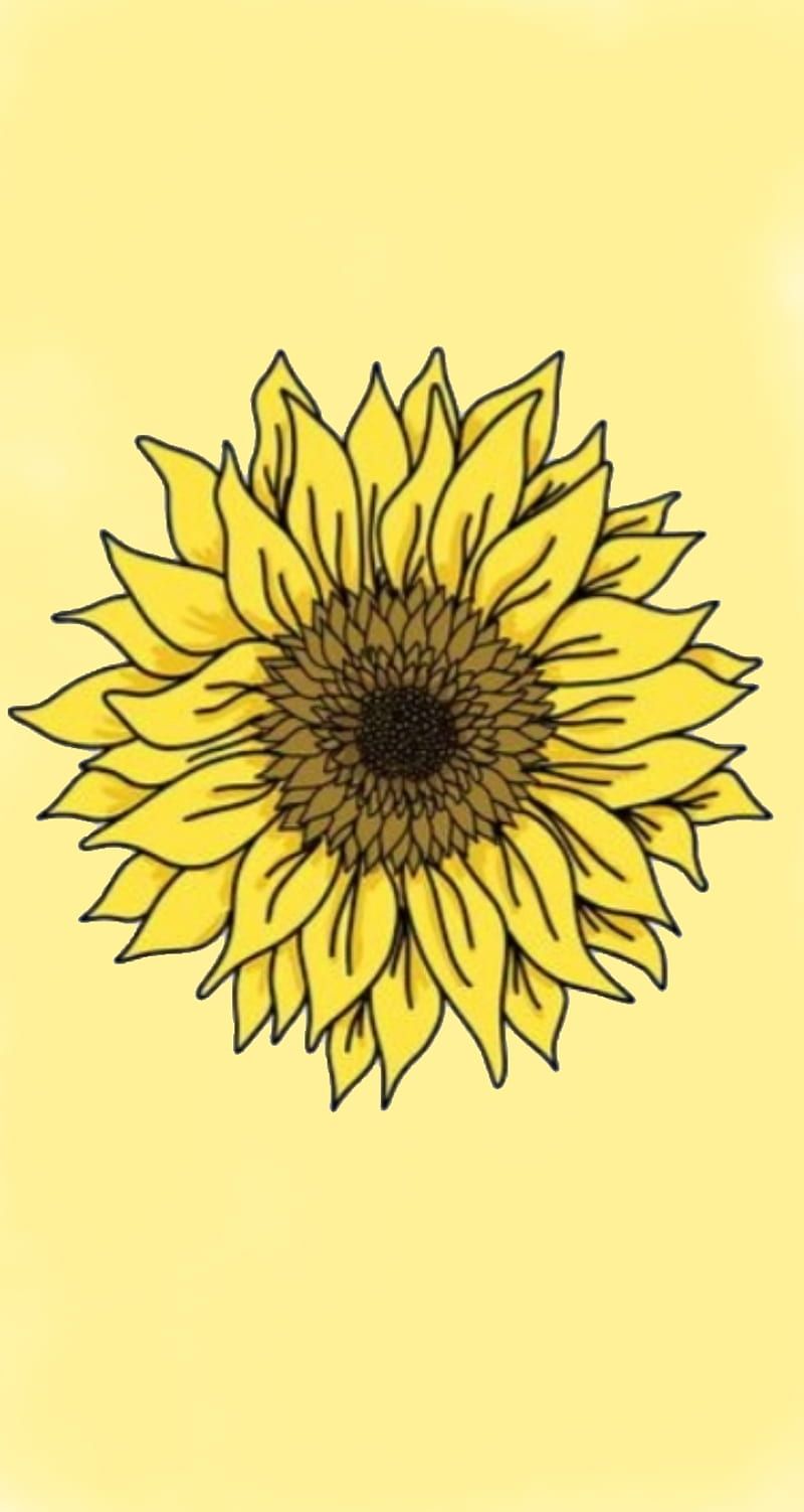 Aesthetic sunflower, cute, pastel, yellow, HD phone wallpaper
