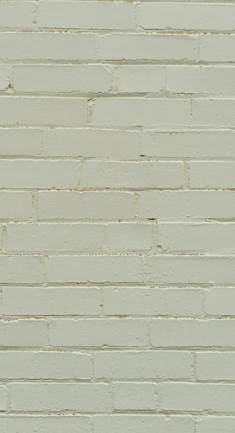 A white cat sitting on the side of an old brick wall - Pastel green, mint green, sage green