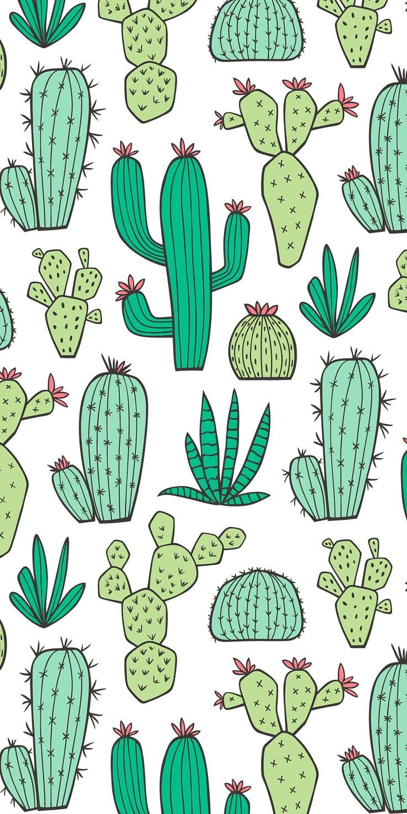 Green cacti on a white background - Pastel green