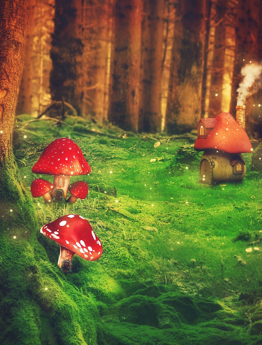 HD wallpaper: fantasy, forest, mushrooms, trees, meadow, matryoshka, window