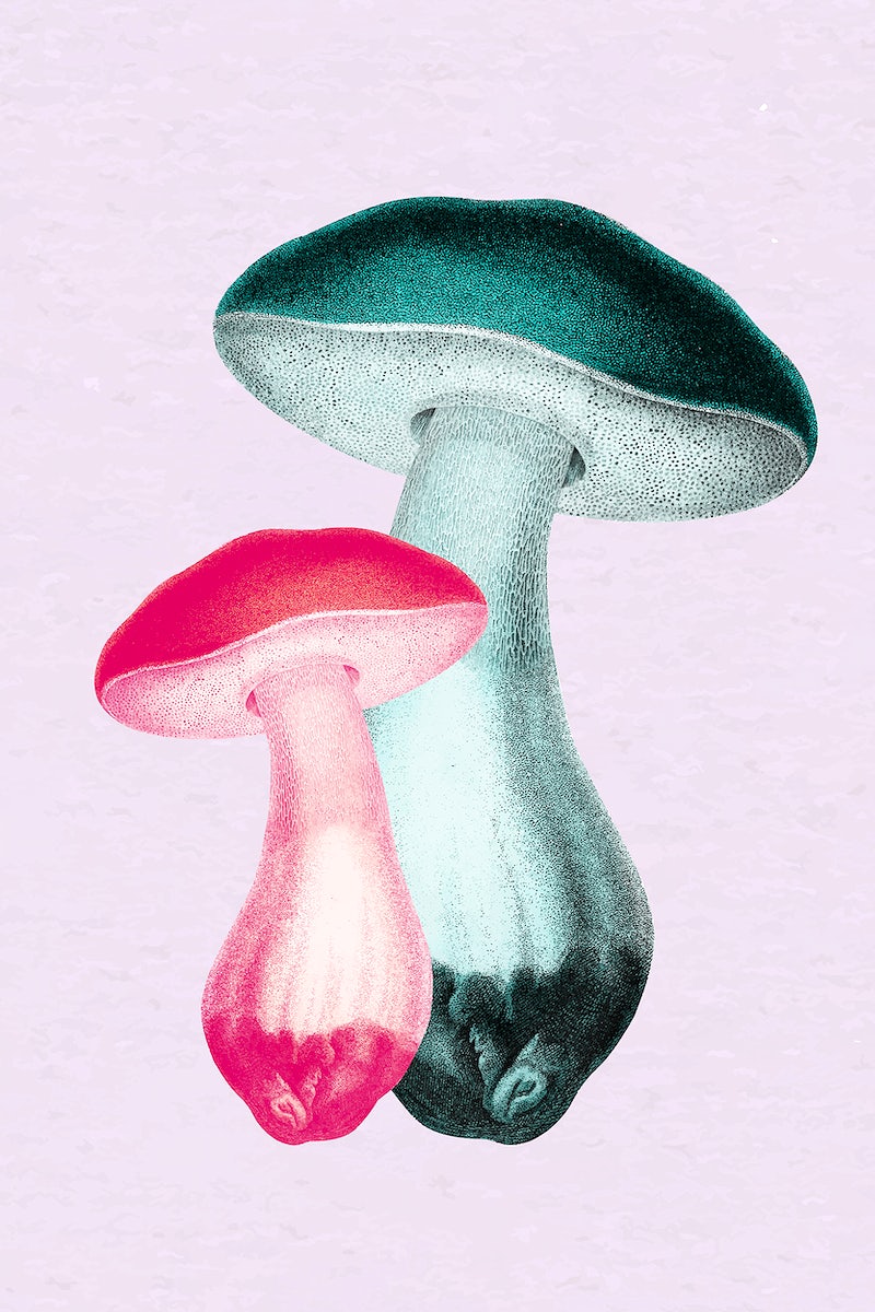 A colorful mushroom illustration on a light pink background - Mushroom