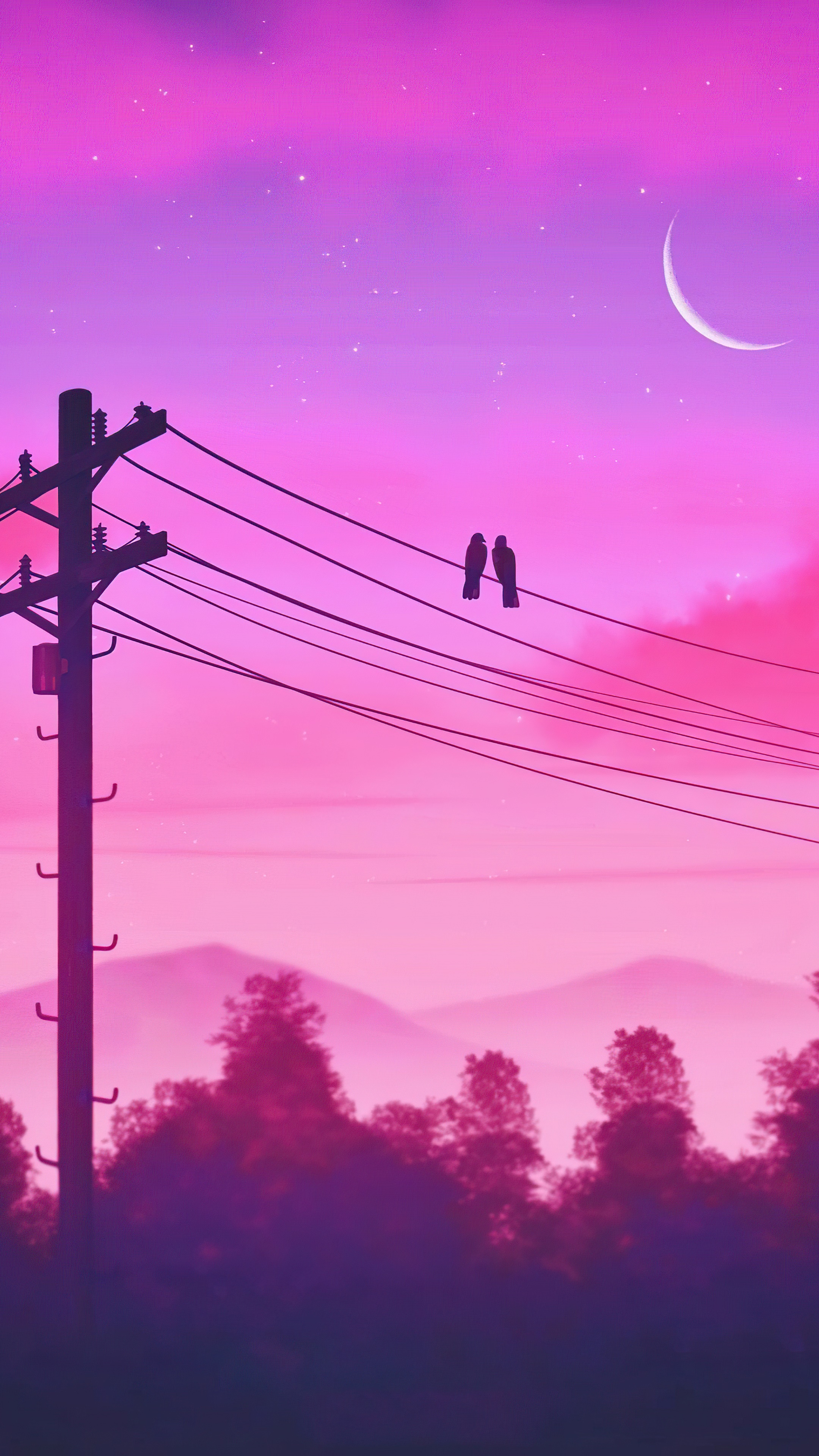 Two birds sitting on a power line with a pink sky - Twilight