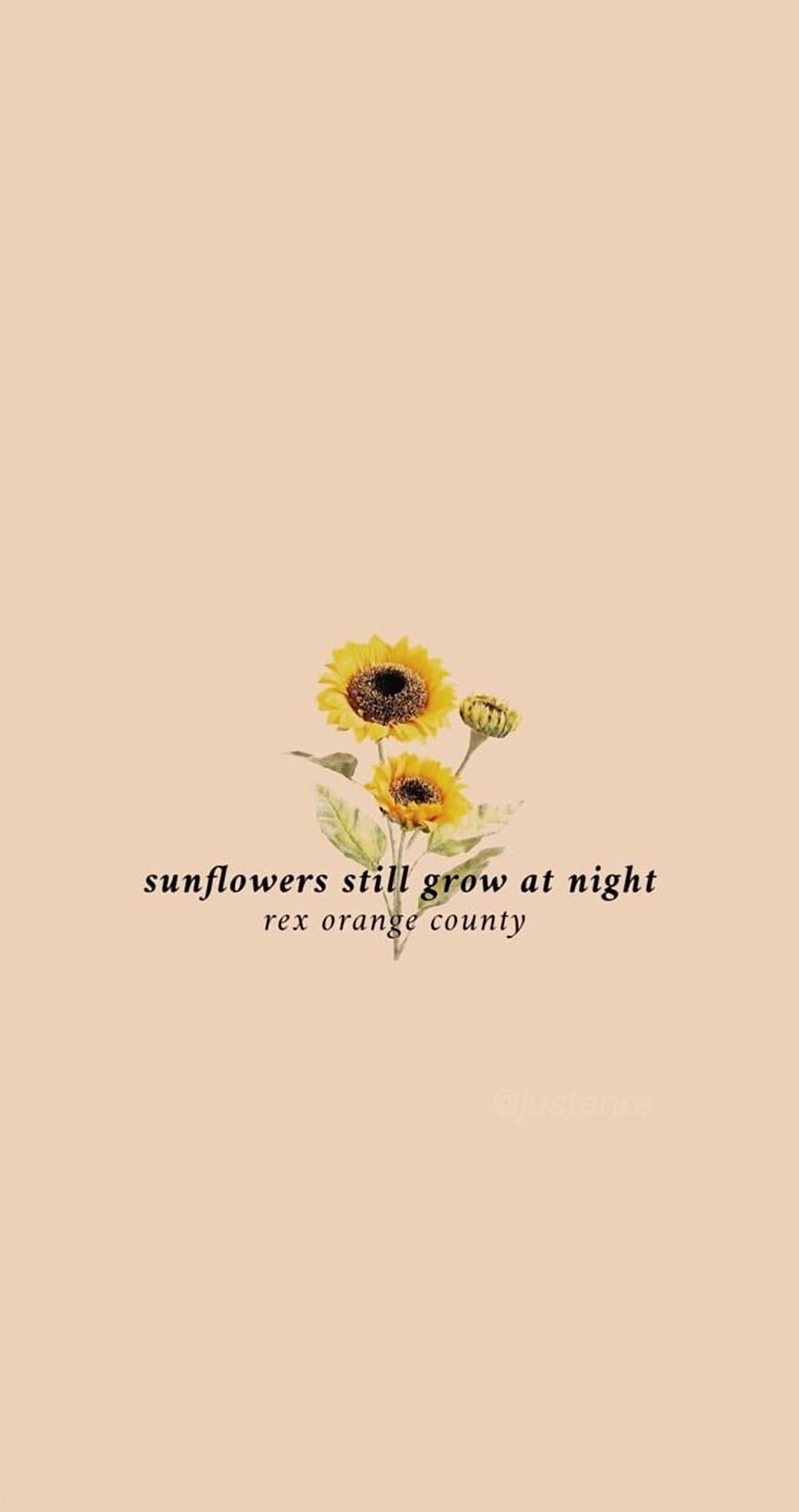 Sunflowers will rise at night - Pastel orange