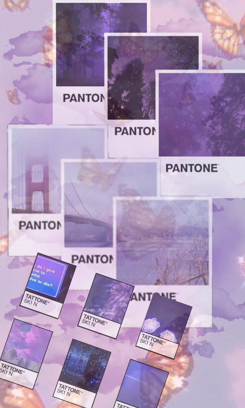 A collage of Pantone purple images, including a butterfly and a bridge. - Pastel purple, purple, violet