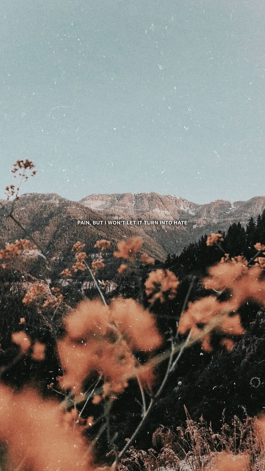 Aesthetic background image of a mountain with a quote about pain - HD