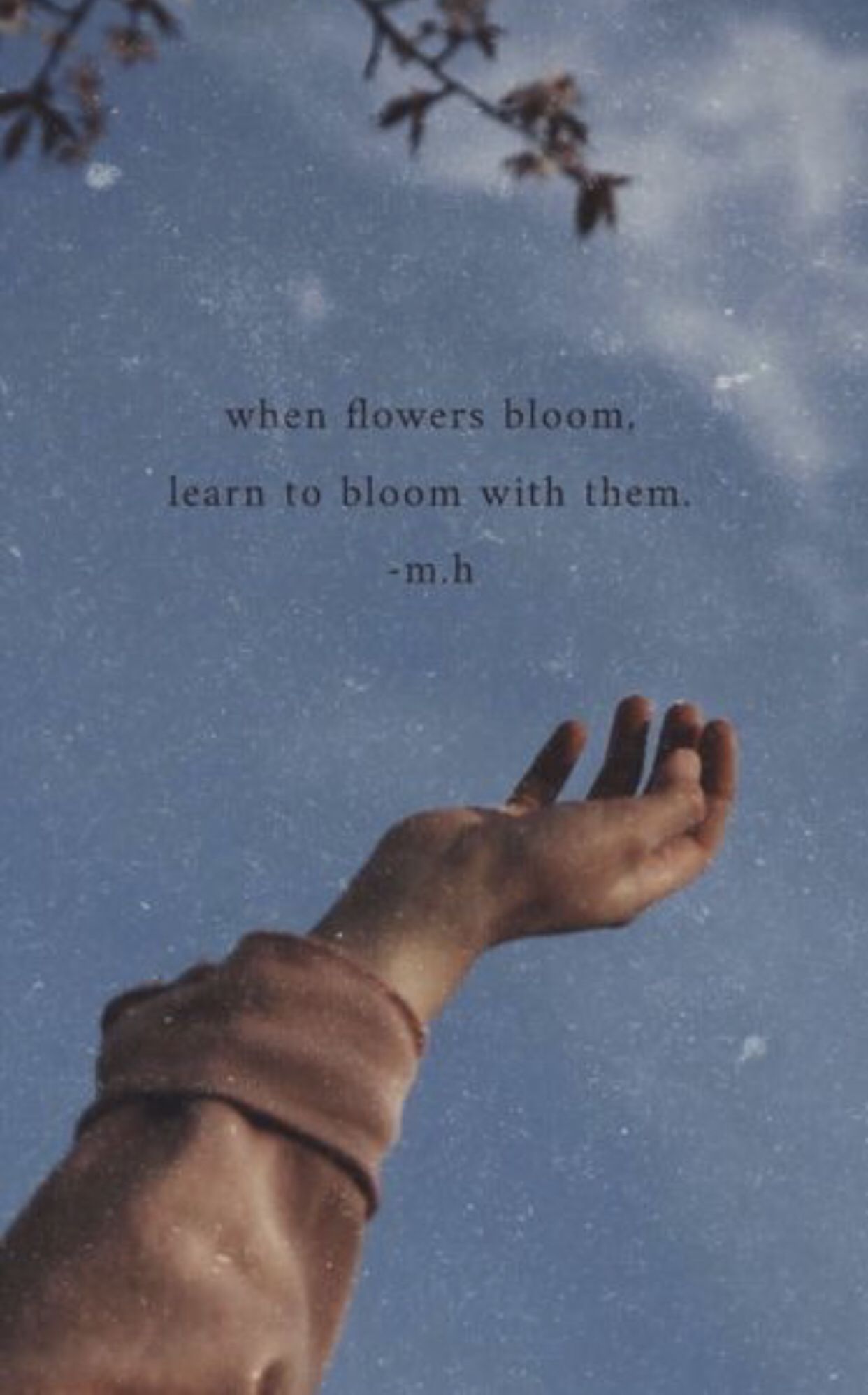 When flowers bloom, learn to flower with them - Bestie