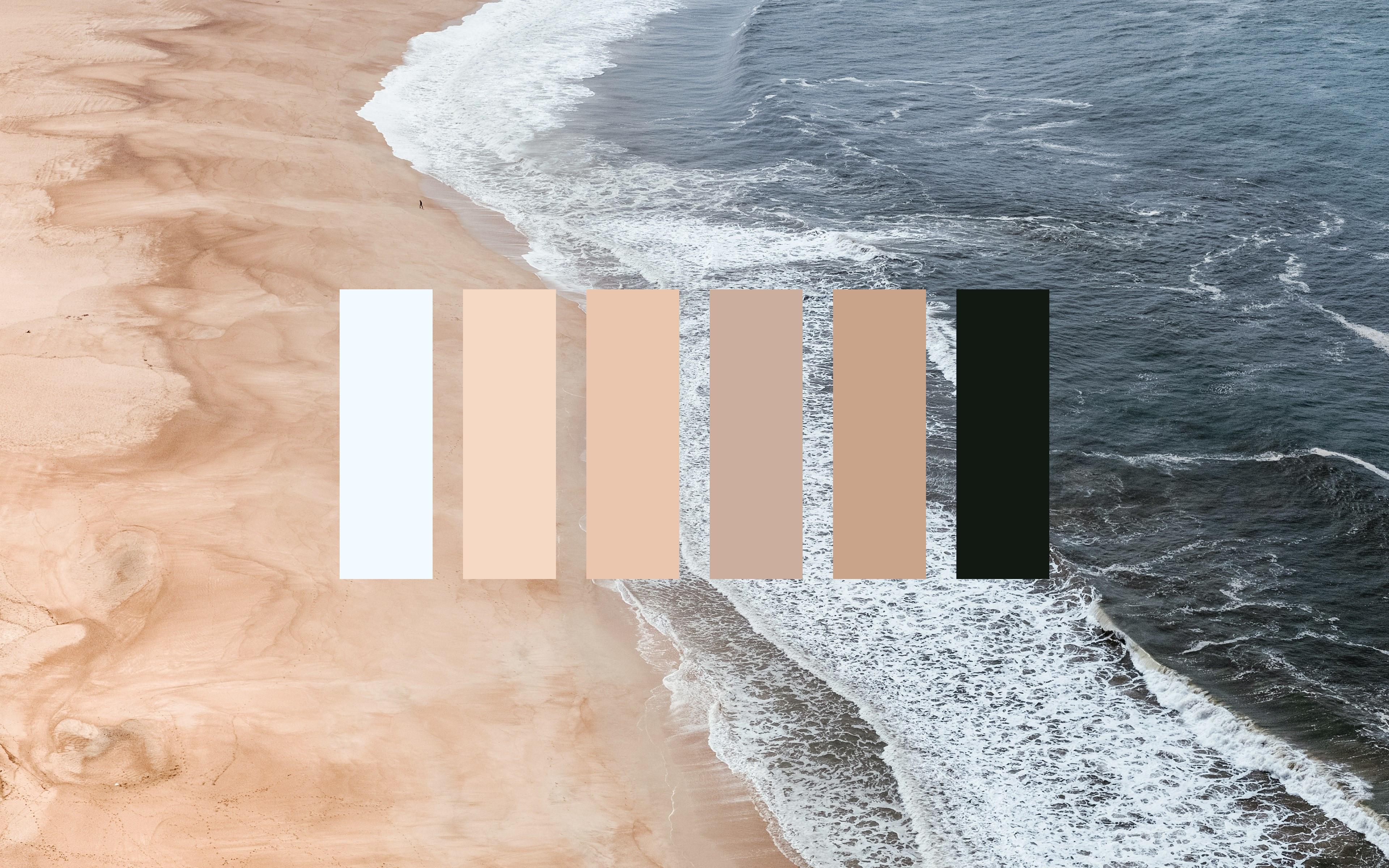 A beach with sand and water with a color palette of white, light brown, medium brown, dark brown, and black. - Beach