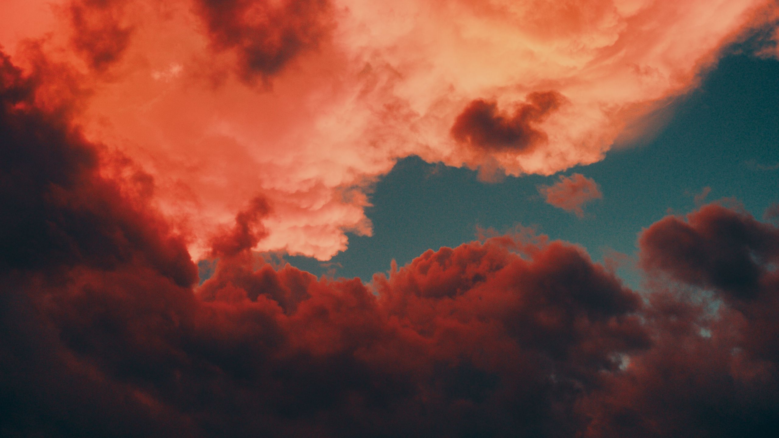 A dramatic sky with clouds in red and blue colors. - 2560x1440