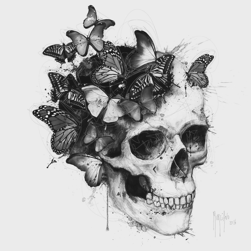 Skull Butterflies Background Image and Wallpaper