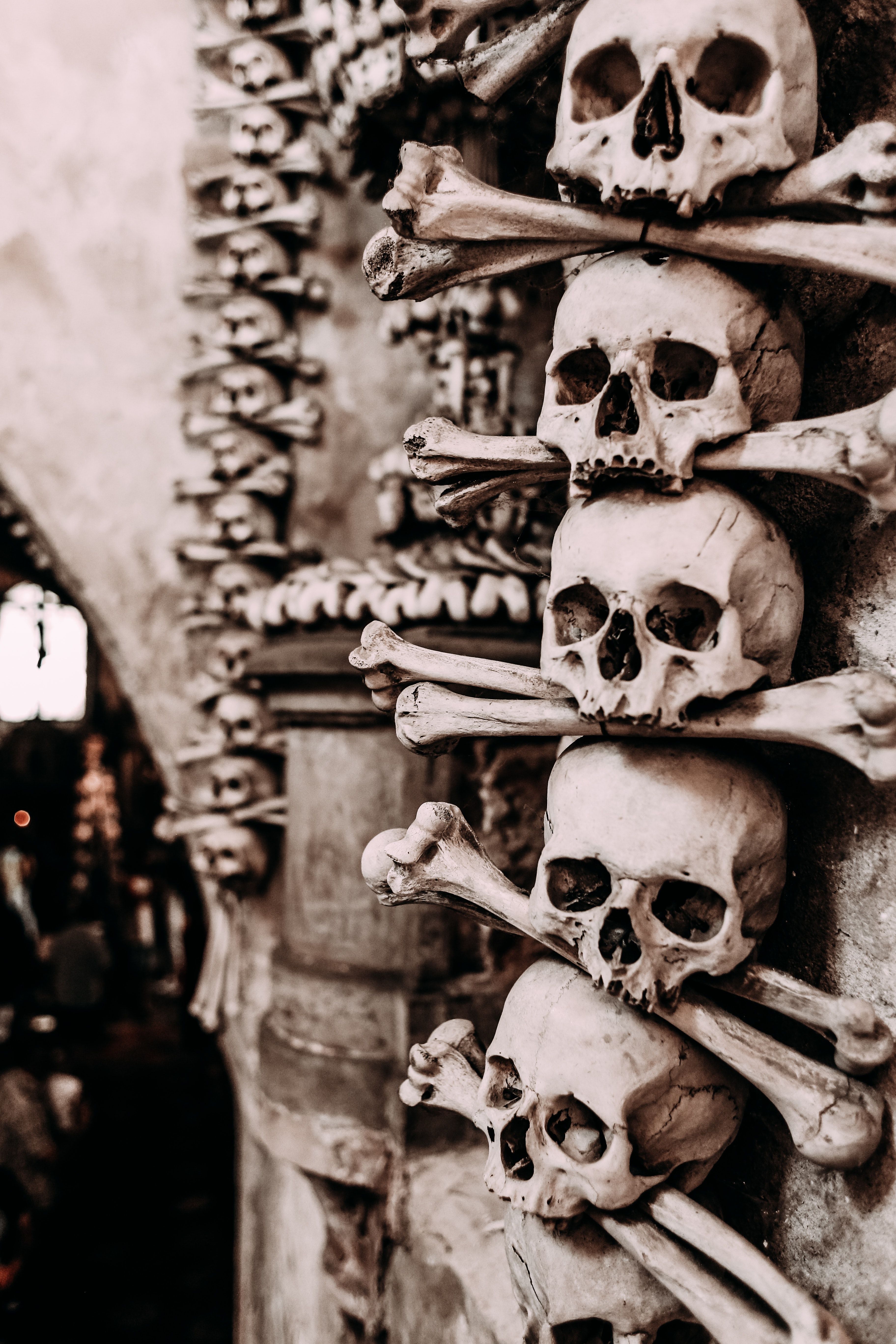 Skull Wallpaper Photo, Download The BEST Free Skull Wallpaper & HD Image