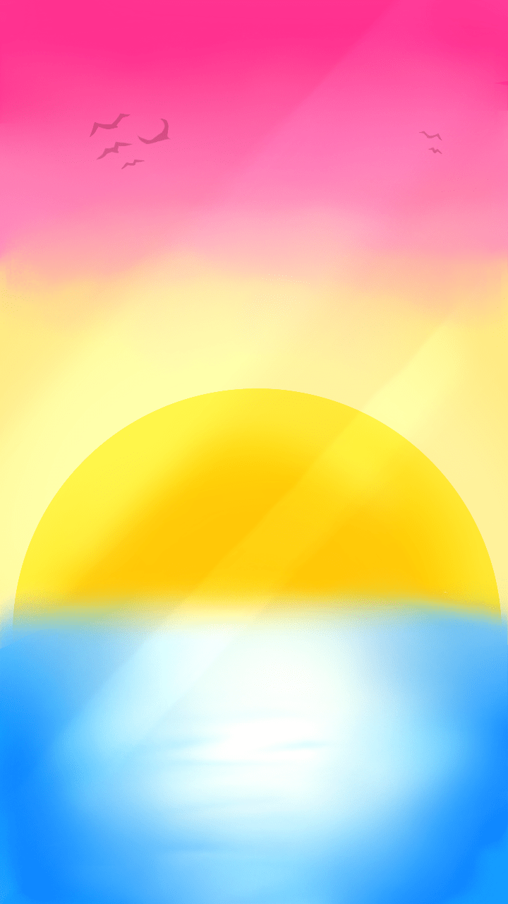 A sunset over the ocean with birds flying - Pansexual