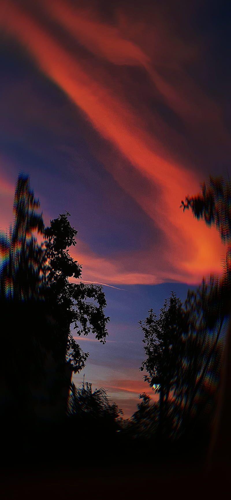 A red and blue sunset sky with a tree in the foreground. - Sunset, sunrise, Florida