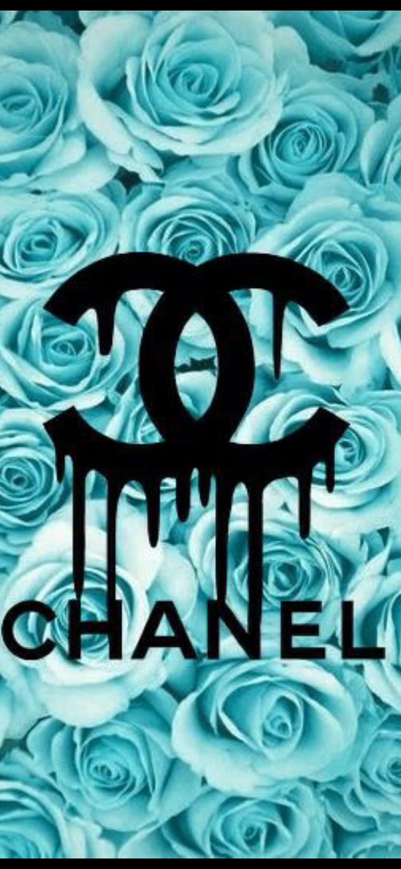 Chanel, blue, rose, HD phone wallpaper