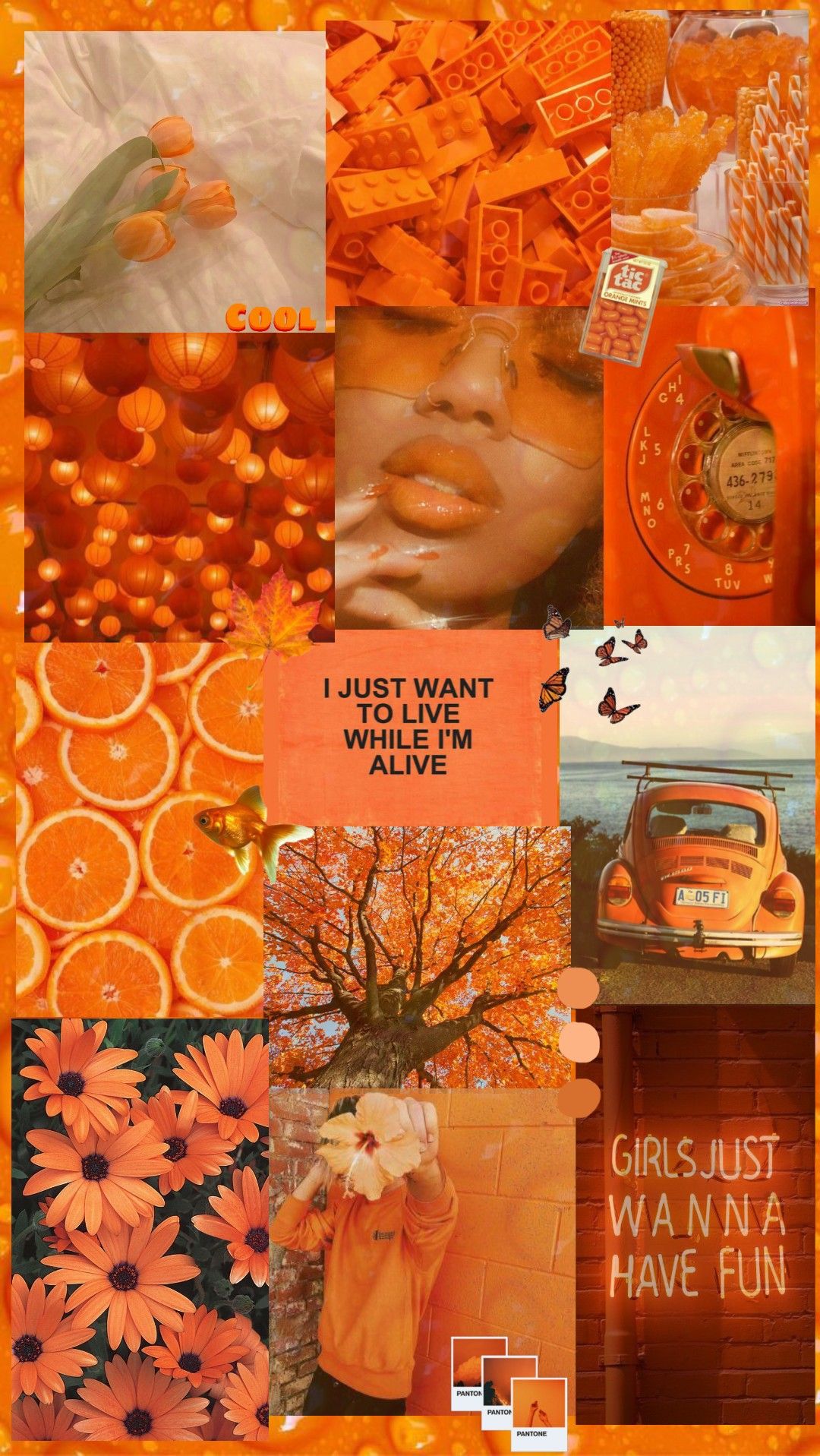 Aesthetic Orange Collage Iphone Wallpaper in 2020 | Orange aesthetic, Aesthetic backgrounds, Aesthetic wallpaper - Orange