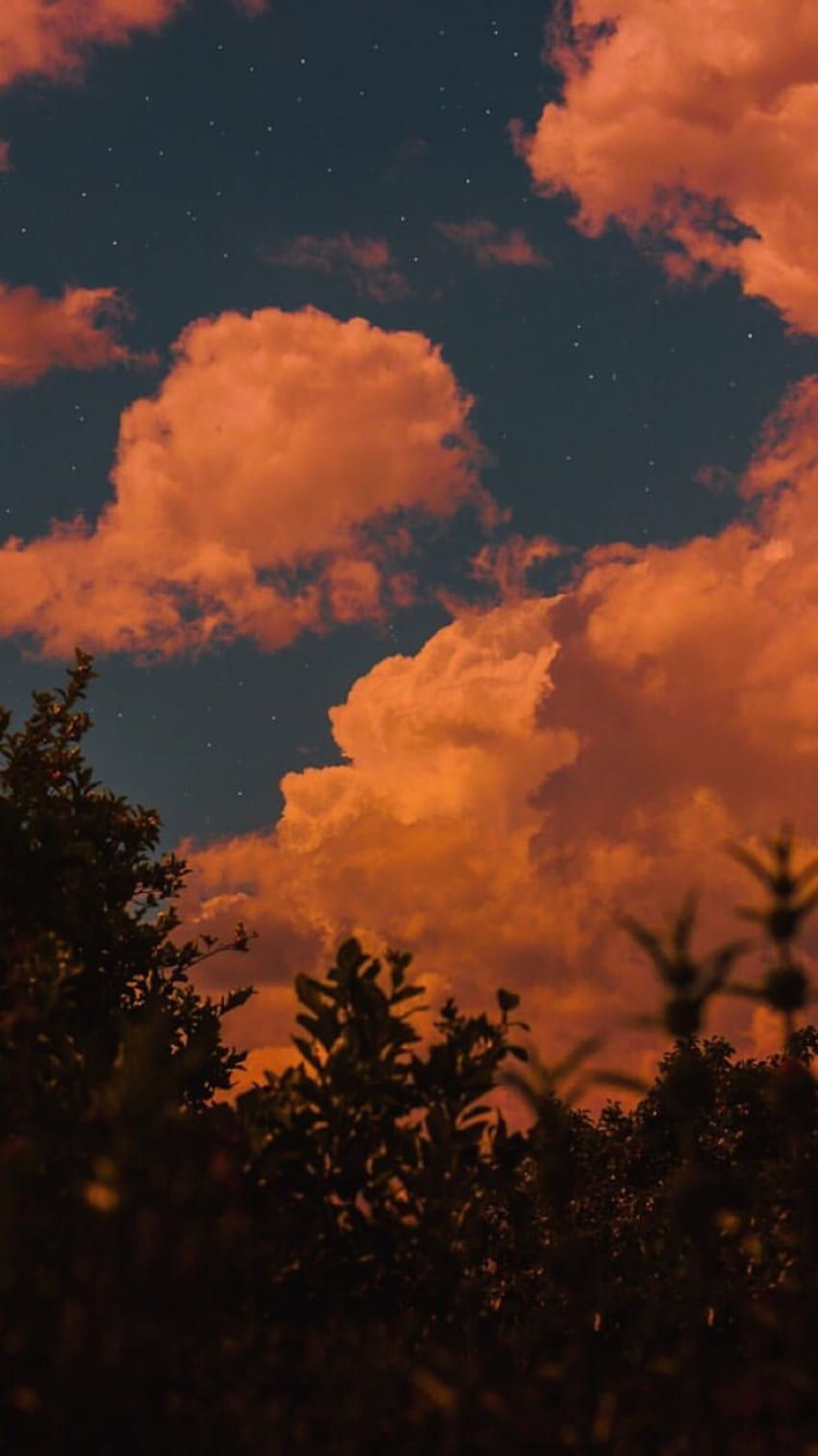 A beautiful sunset with a cloudy sky and a few stars visible in the sky. - Orange, dark orange, pastel orange, vintage clouds