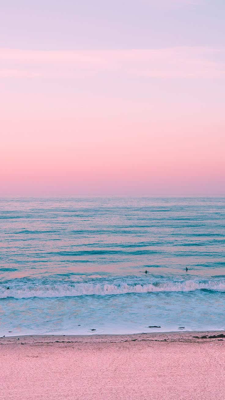 Pink sunset at the beach wallpaper - Beach