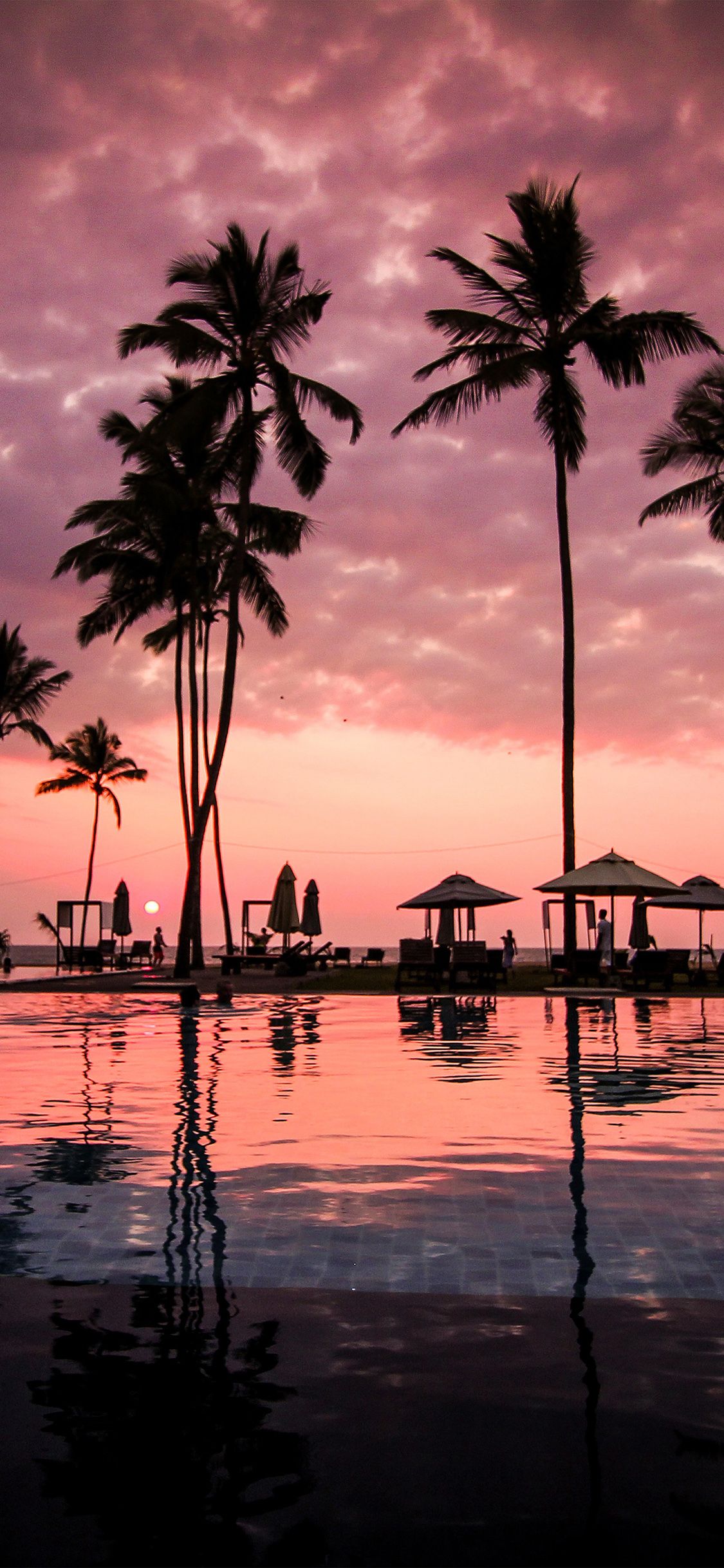 A beautiful sunset over a pool with palm trees and beach chairs. - Beach, happy, sunset