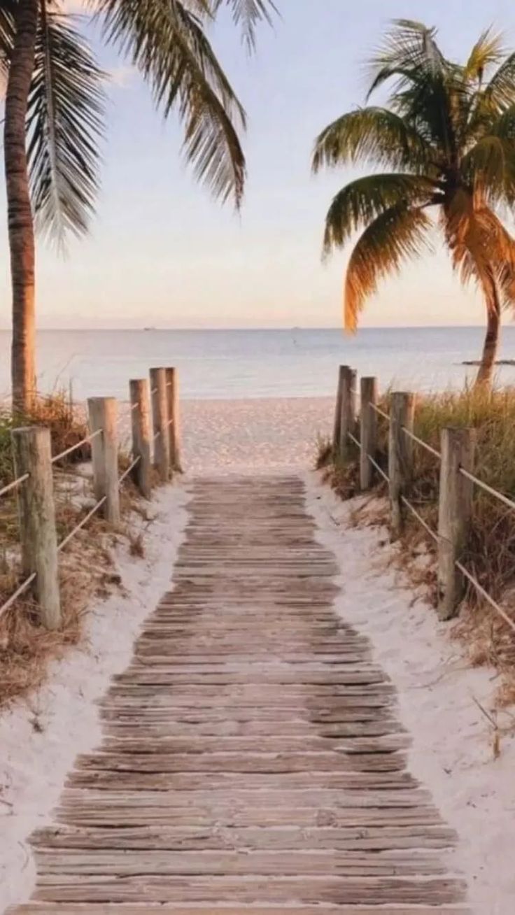 A wooden pathway leads to a sandy beach with palm trees. - Summer