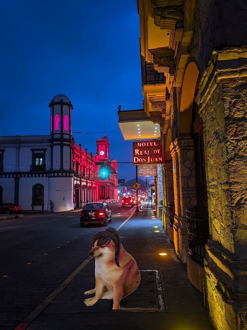 A dog sitting on the sidewalk at night - Mexico