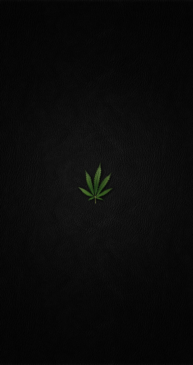 A black background with one green leaf - Weed