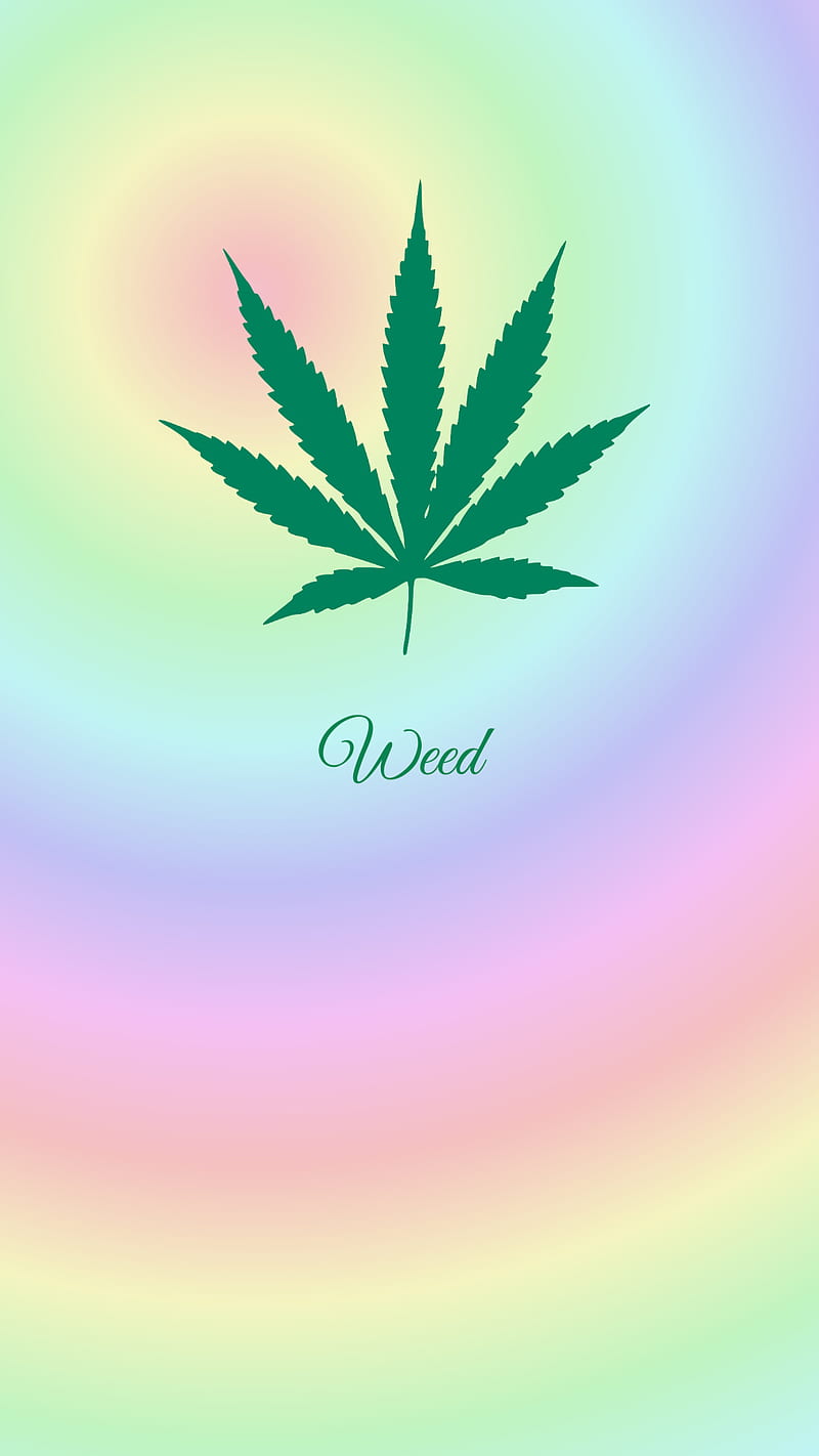 A green cannabis leaf on a rainbow background - Weed