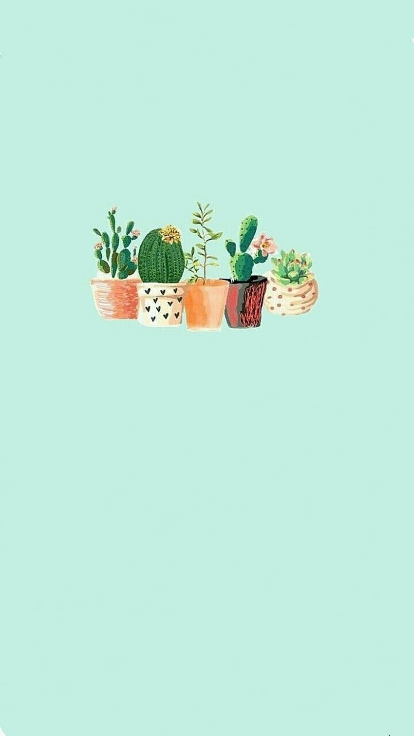 A drawing of five different types of cacti in pots on a light blue background - Cactus