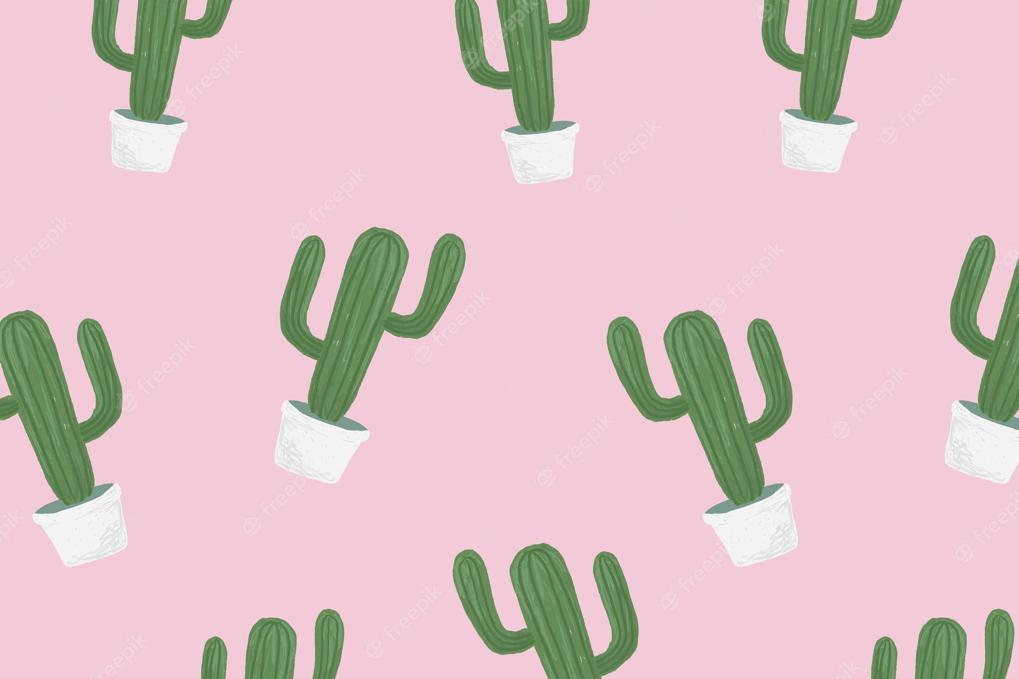 Cactus Wallpaper Image