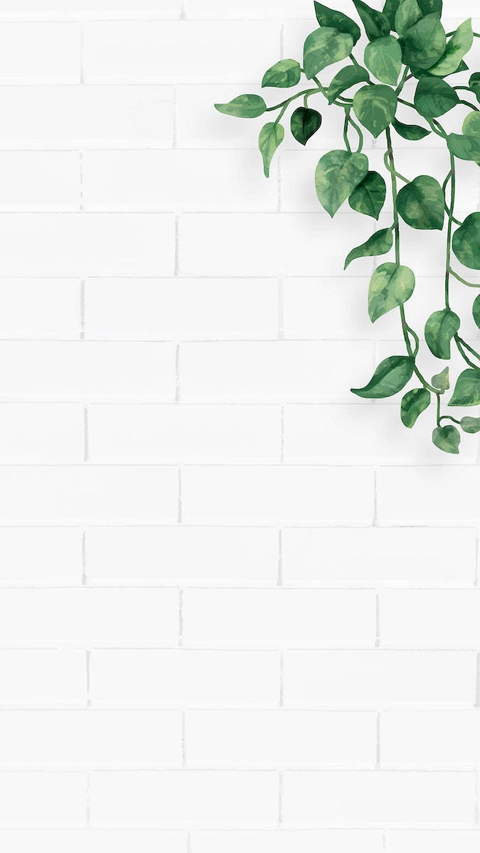 A white brick wall with a green plant on the right side - Plants