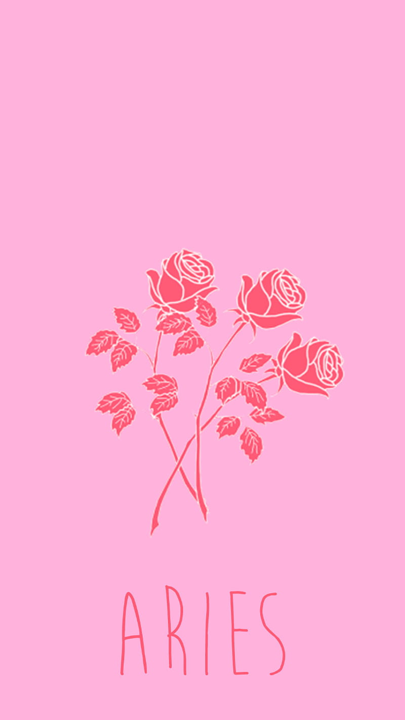 Aries, rose, pink, hello, bird, wall, papers, love, roses, zodiac, signs, HD phone wallpaper