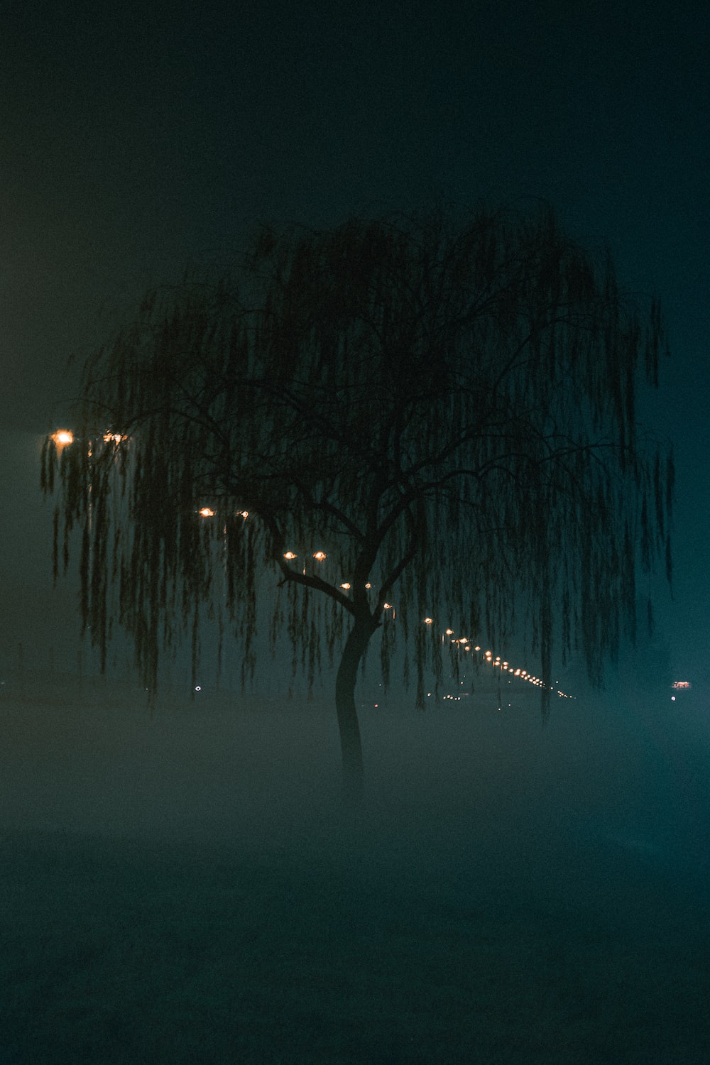 A street light is on in the fog - Dark, shadow