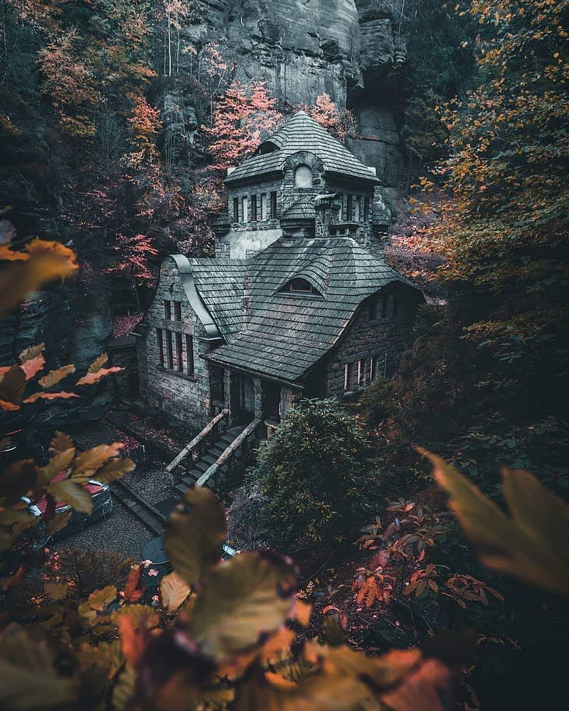 A house in the woods surrounded by trees - Vintage fall