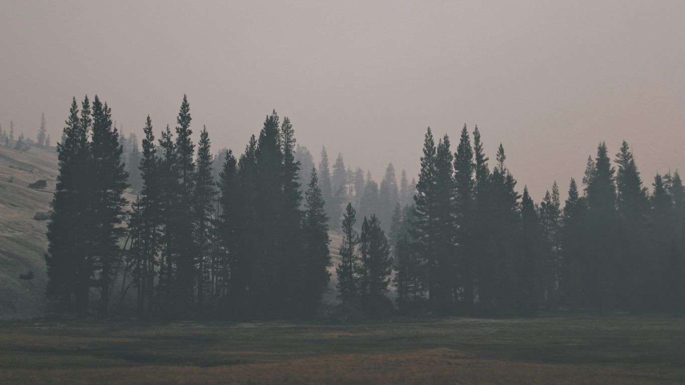 Wallpaper forest, hill, fog. Dark landscape, Dark wallpaper, Landscape wallpaper