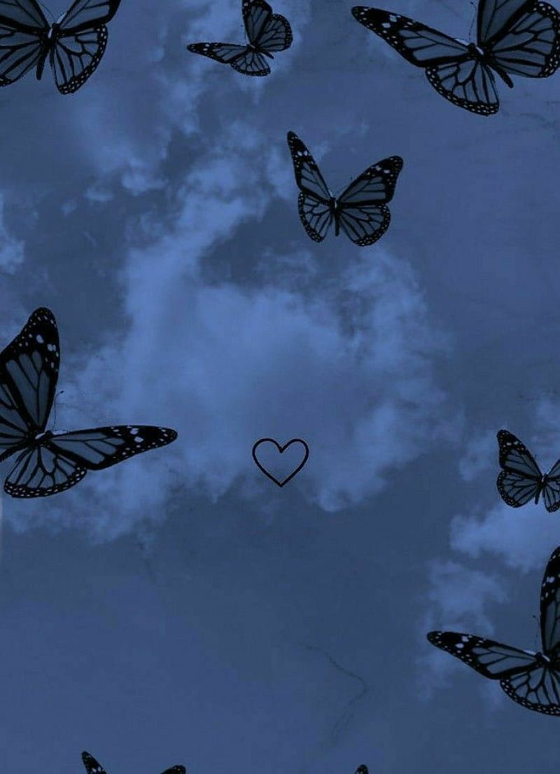 A group of butterflies flying in the sky - Profile picture, butterfly