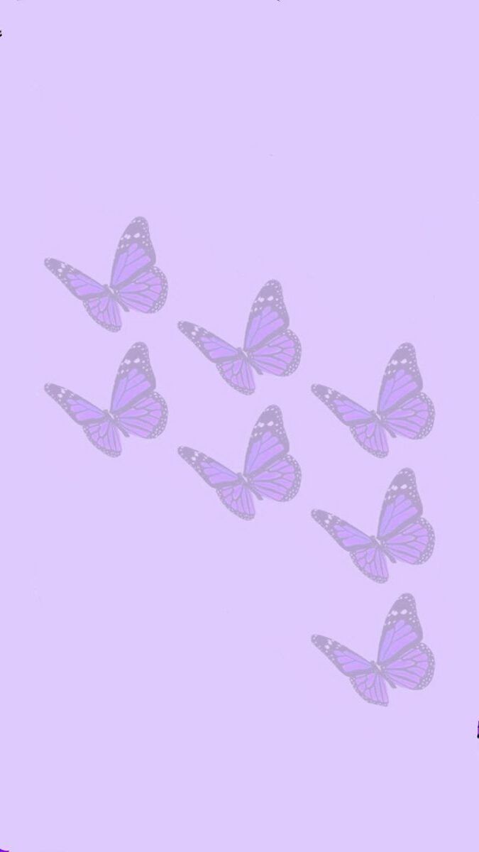 A group of purple butterflies flying in the air - Light purple, pastel purple