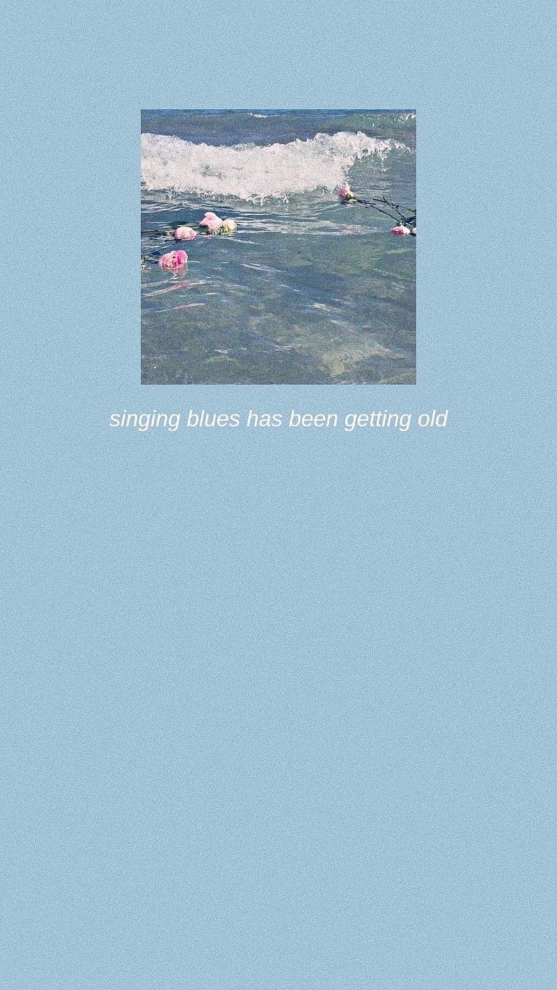 A blue cover with the title 