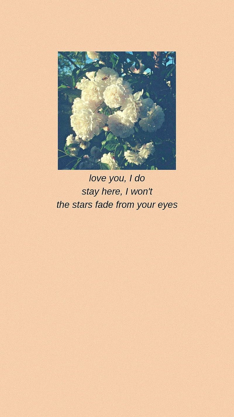 Peach aesthetic wallpaper with a quote - Lana Del Rey