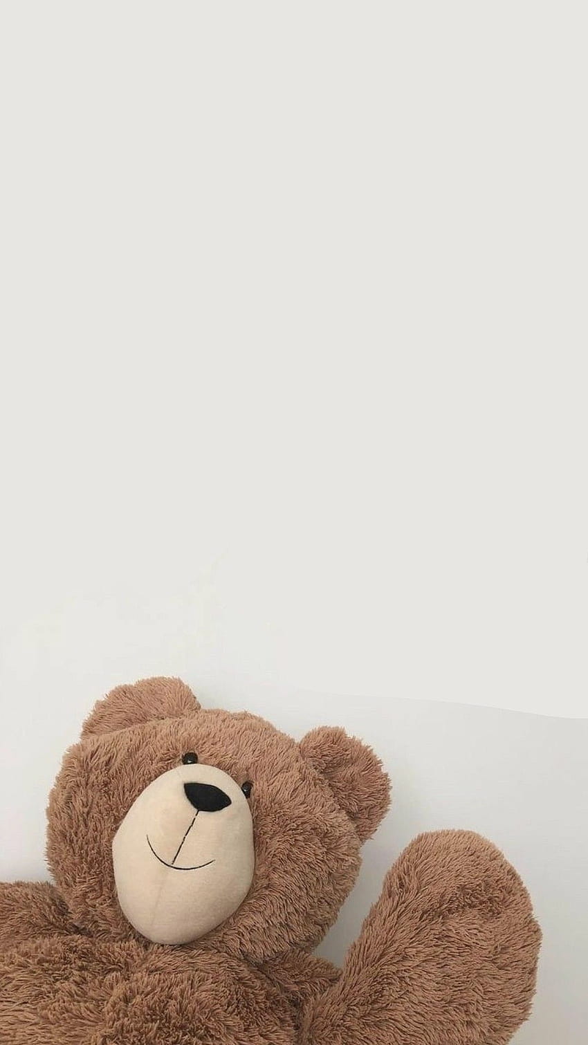 Teddy bear on a white background - Teddy bear