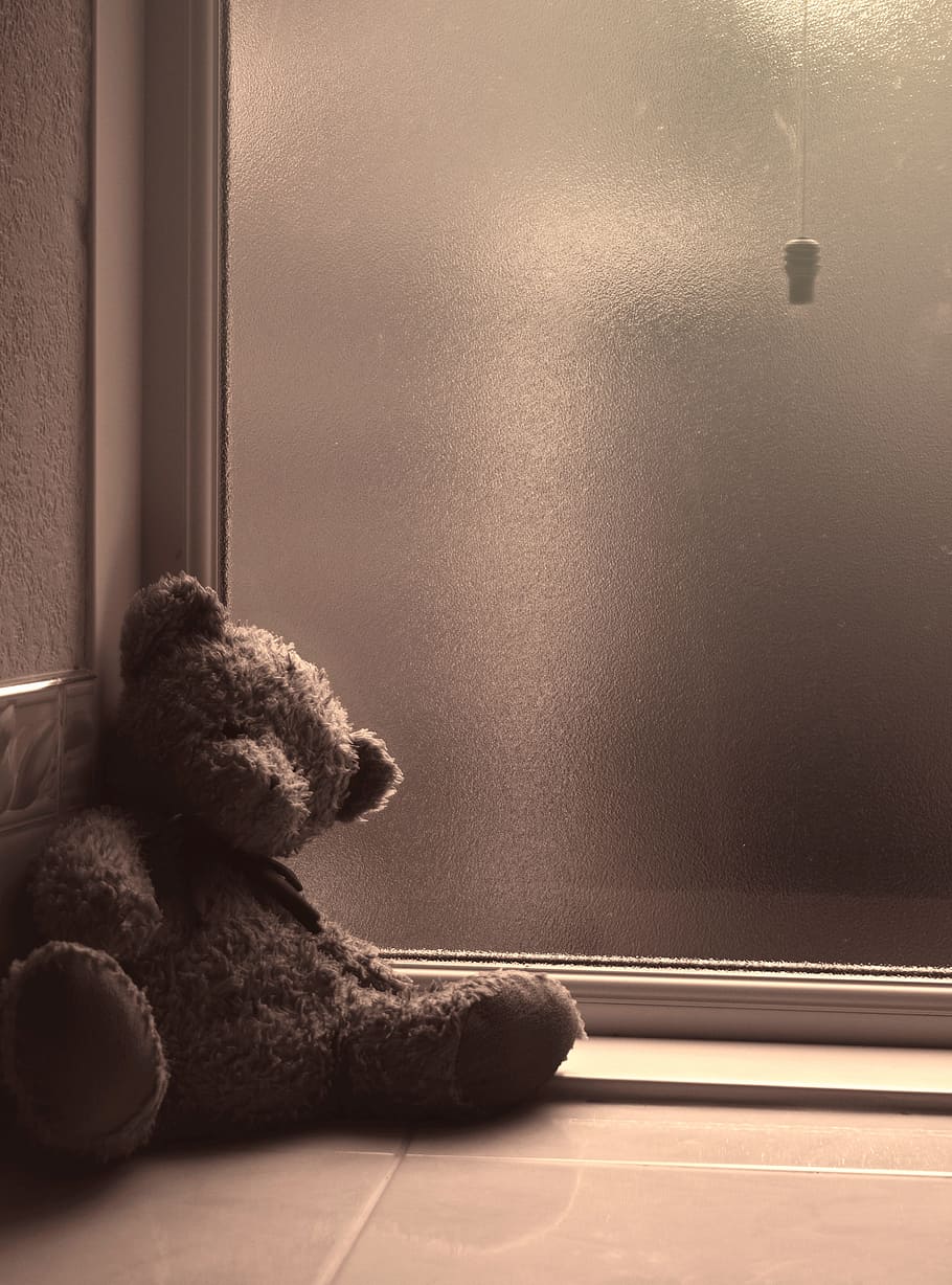 A teddy bear sitting on the floor next to window - Teddy bear