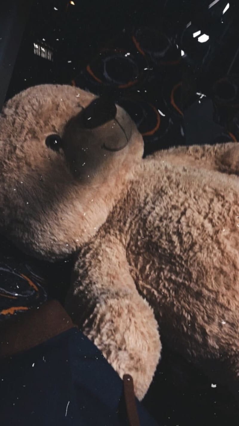 Teddy Bear, aesthetic, animal, cute, HD phone wallpaper