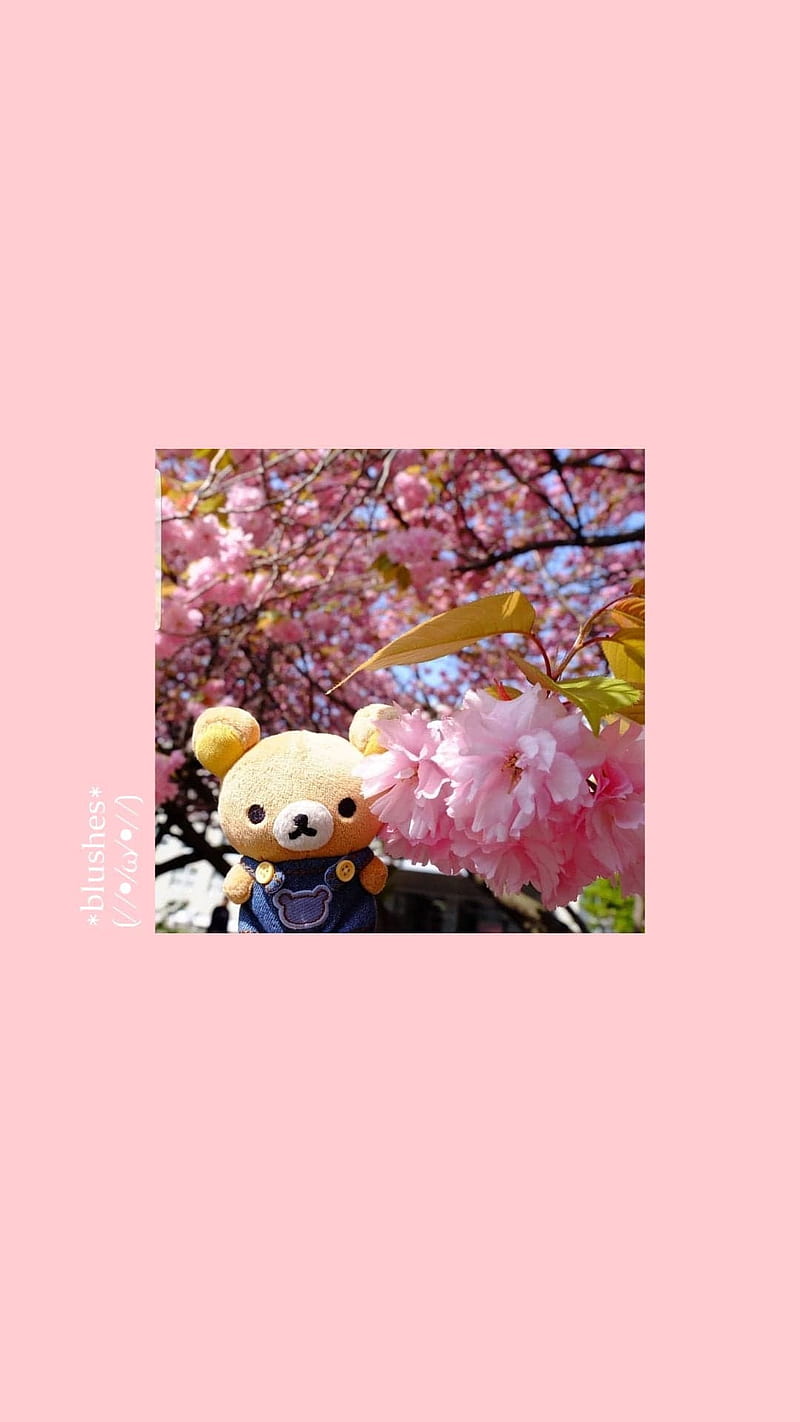 A teddy bear sitting under a tree with pink flowers - Teddy bear