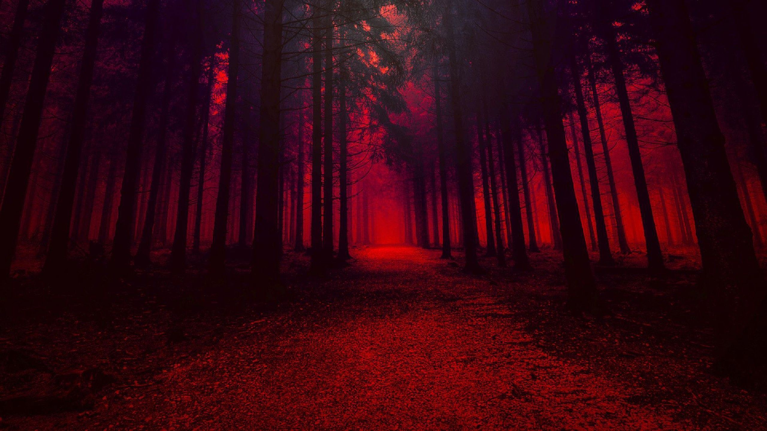 Forest With Trees In Red Effect HD Red Aesthetic Wallpaper