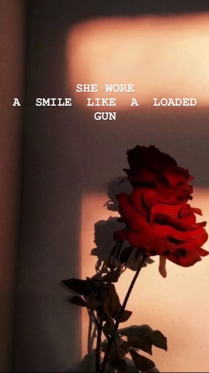 Red rose in front of a wall with a quote about a smile being like a loaded gun. - Red