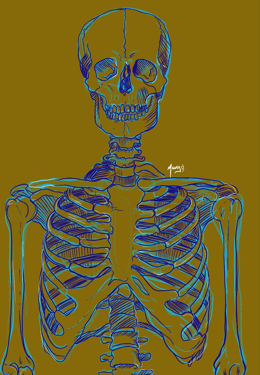 Skeleton. Black, Aesthetic iphone, , Human Skeleton HD phone wallpaper