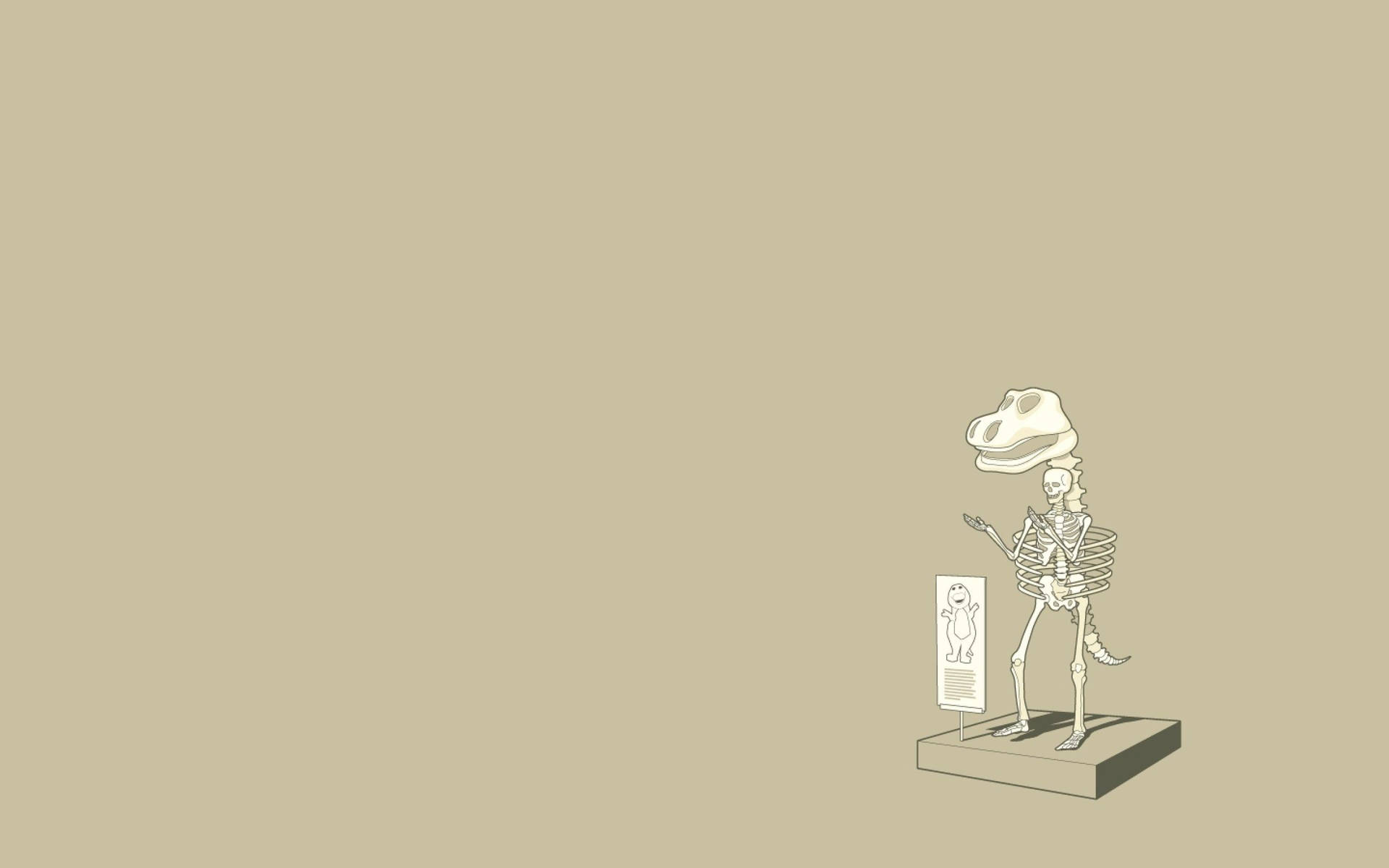 Free Skeleton Background Photo, Skeleton Background for FREE