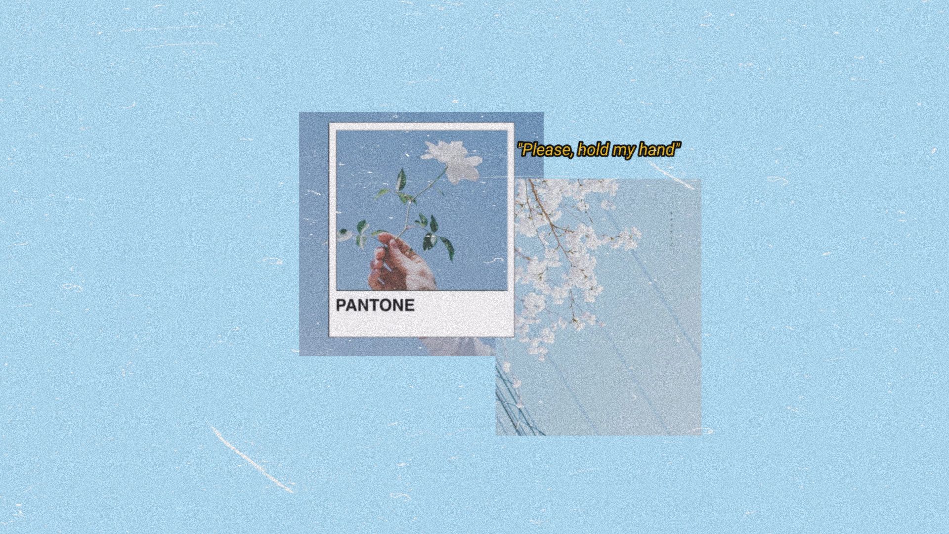A picture of someone holding flowers in their hand - Blue, pastel blue, pastel, pastel minimalist