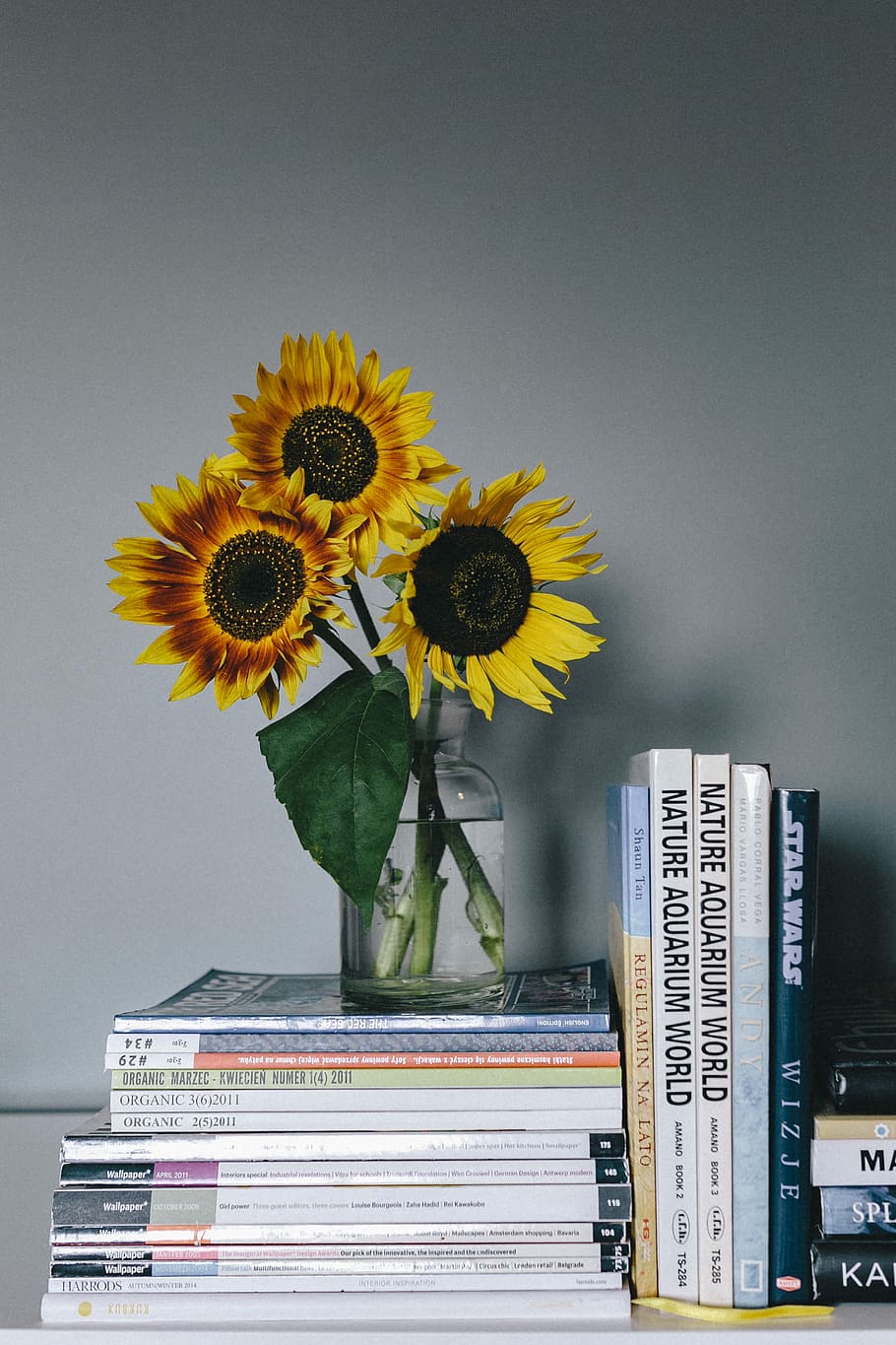 HD wallpaper: Sunflowers and books, magazines, indoor, business, stack, vase